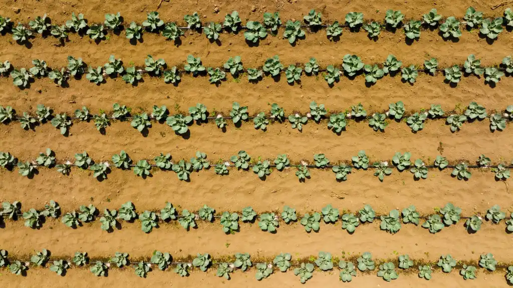 金属零部件精密制造工艺优化与常见缺陷预防方案