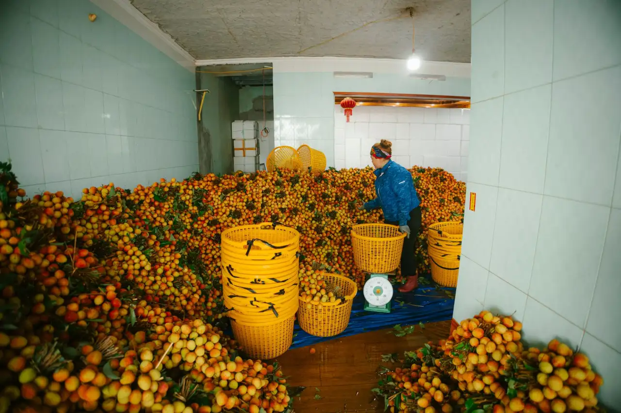 苏州精密金属加工质量管控要点与检测方法解析